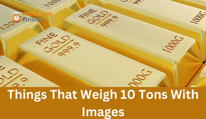 15 Choses Qui Pèsent 10 Tonnes Avec des Images – Explorez les Mesures Massives