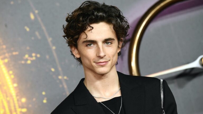 Unveiling Timothée Chalamet: Height, Age, Ethnicity Revealed